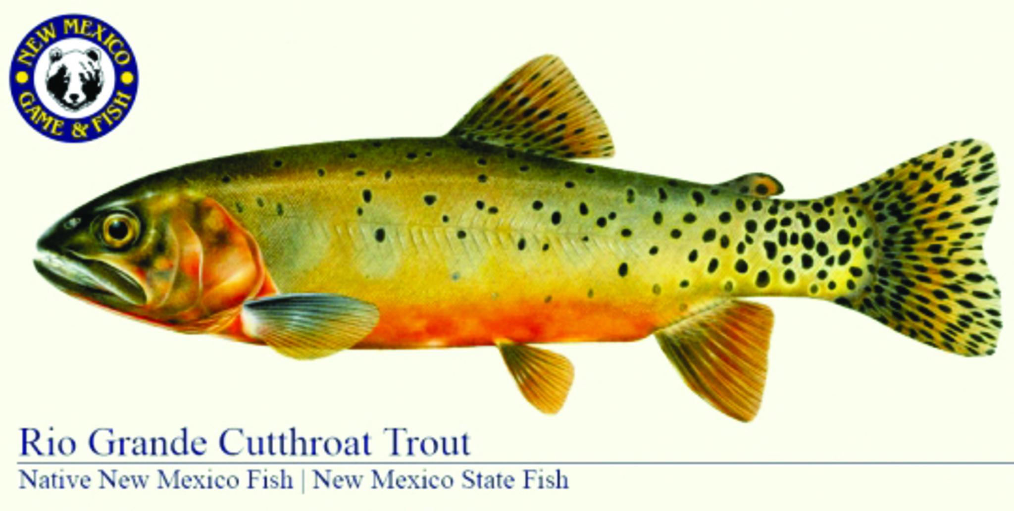 ‘Trout Waters’ Protect Fish