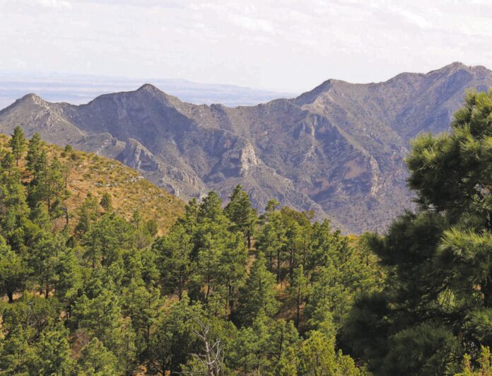 Hikers from the Colorado Mountain Club and Highpointers Club hiked in Lincoln National Forest during a test run of the Guadalupe Ridge Trail in April 2016.
