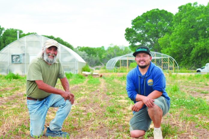 Don Bustos (left) and Joseluis Ortiz y Muniz at the ¡Sostenga! Center. The yellow shoots by their feet are the very top of a garlic plant, which mostly grow underground.