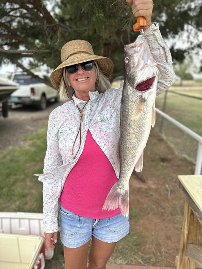 Candis Brinegar caught five walleye using lunker grubs and worms on a windy afternoon June 24 at Conchas Lake.