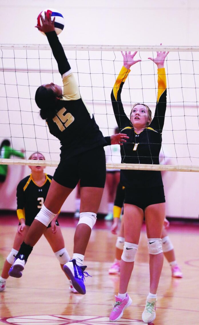 Mesa Vista senior Rebecca Lopez (15) goes up for spike against Raton in the opening round of the Anna Archuleta Memorial Tournament in Cimarron. The Lady Trojans won the silver bracket of the tournament.