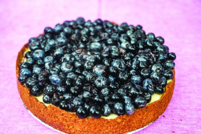This blueberry goat cheese cake is a little lighter and tangier than the normal cheese cake and still bursting with flavor.